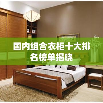 国内组合衣柜十大排名榜单揭晓