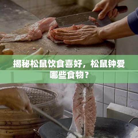 揭秘松鼠饮食喜好，松鼠钟爱哪些食物？