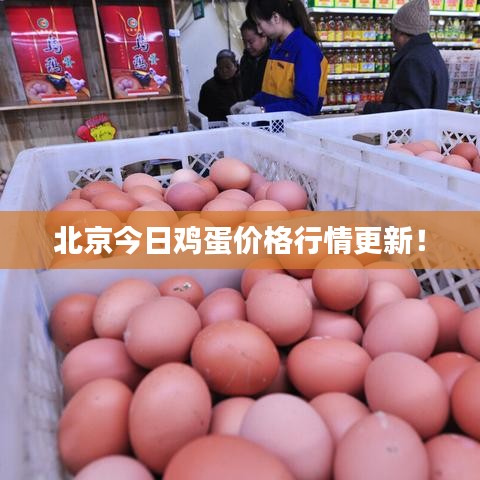 北京今日鸡蛋价格行情更新！