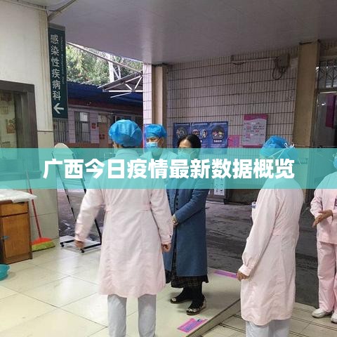 广西今日疫情最新数据概览