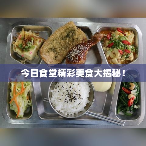 今日食堂精彩美食大揭秘!