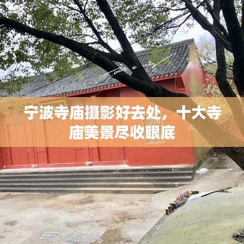 宁波寺庙摄影好去处，十大寺庙美景尽收眼底