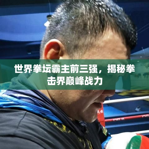 世界拳坛霸主前三强,揭秘拳击界巅峰战力