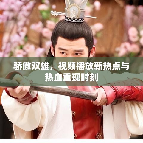 骄傲双雄,视频播放新热点与热血重现时刻