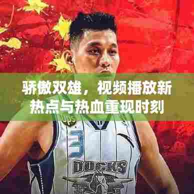 骄傲双雄,视频播放新热点与热血重现时刻