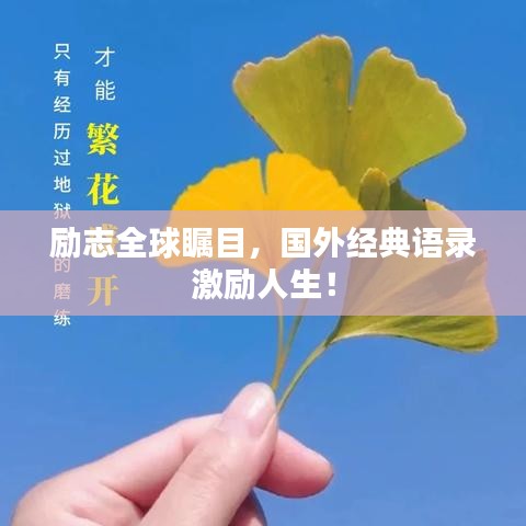 励志全球瞩目，国外经典语录激励人生！
