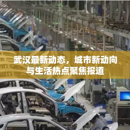 武汉最新动态,城市新动向与生活热点聚焦报道