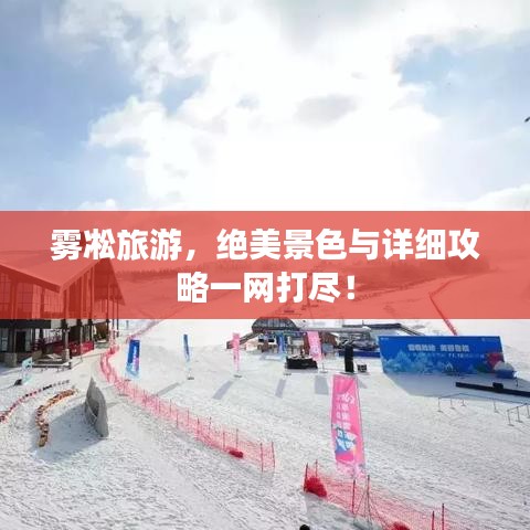 雾凇旅游，绝美景色与详细攻略一网打尽！