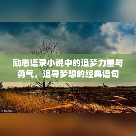 励志语录小说中的追梦力量与勇气,追寻梦想的经典语句