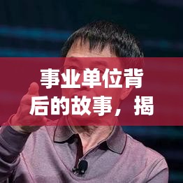 事业单位背后的故事,揭秘百度背后的真相探讨