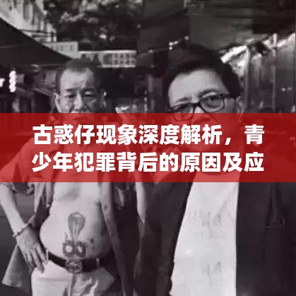 古惑仔现象深度解析,青少年犯罪背后的原因及应对策略