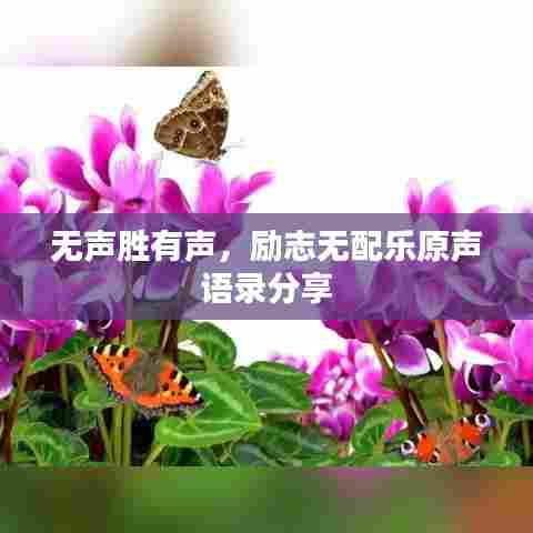 无声胜有声,励志无配乐原声语录分享