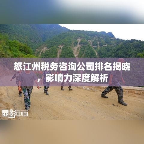 怒江州税务咨询公司排名揭晓，影响力深度解析