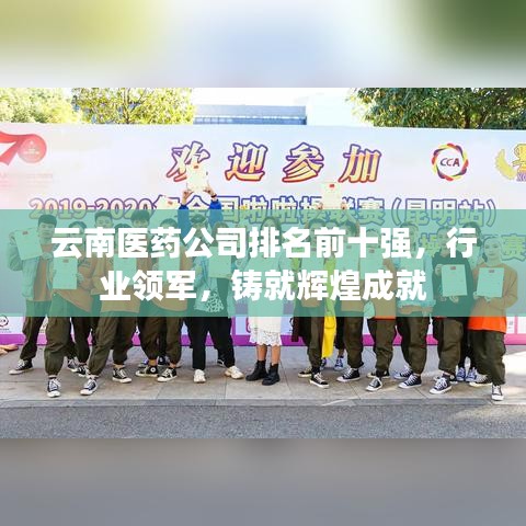 云南医药公司排名前十强,行业领军,铸就辉煌成就
