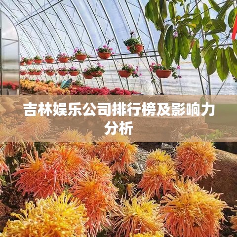 吉林娱乐公司排行榜及影响力分析