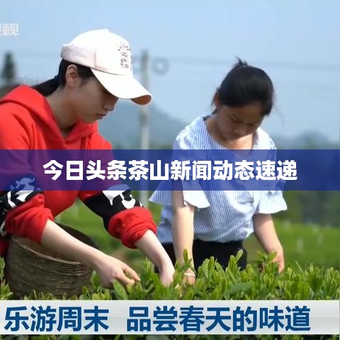 今日头条茶山新闻动态速递