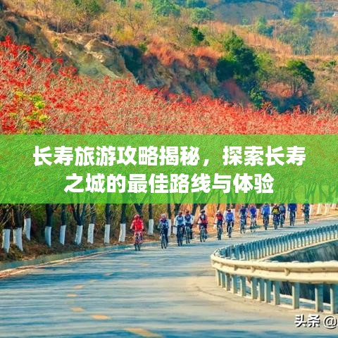 长寿旅游攻略揭秘,探索长寿之城的最佳路线与体验