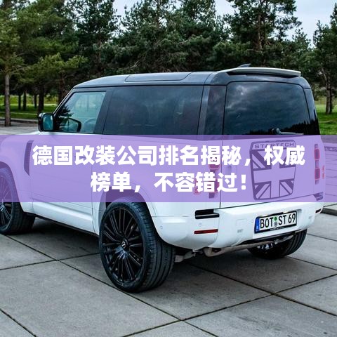 将机就机 第3页