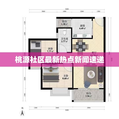 桃源社区最新热点新闻速递