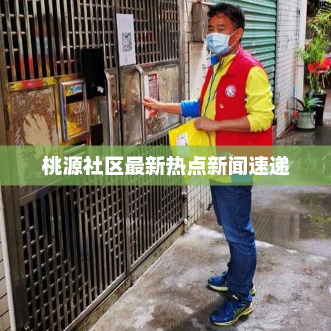 桃源社区最新热点新闻速递