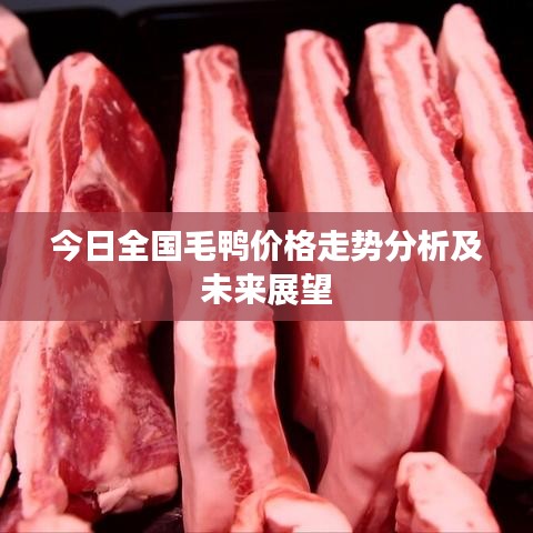 今日全国毛鸭价格走势分析及未来展望