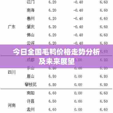 今日全国毛鸭价格走势分析及未来展望