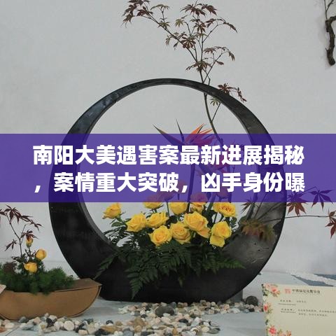 南阳大美遇害案最新进展揭秘,案情重大突破,凶手身份曝光
