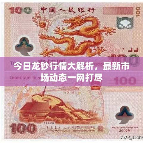 今日龙钞行情大解析,最新市场动态一网打尽