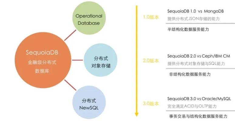 5.19版本,深层设计解析策略 Holo_v3.177