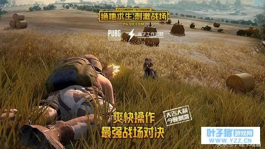 刺激战场小版本,安全解析方案-限量版_v1.985
