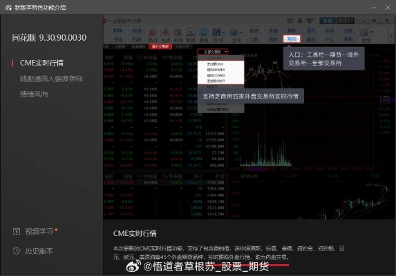 同花顺什么版本最好,深入数据应用计划&复刻版_v10.195