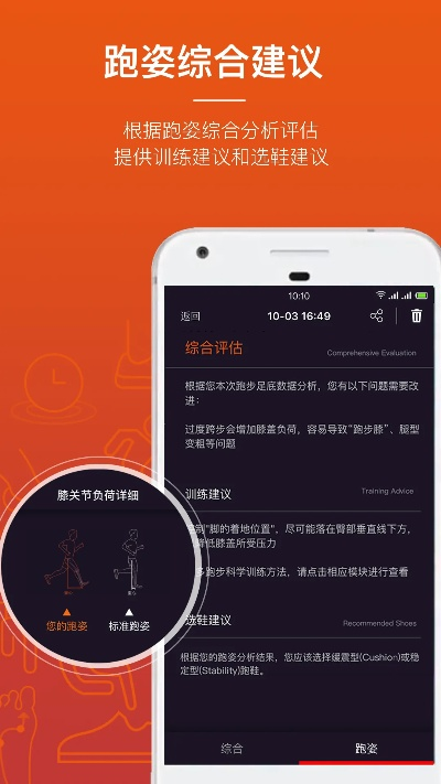 下载旧版本app,稳定性计划评估&运动版_v9.813