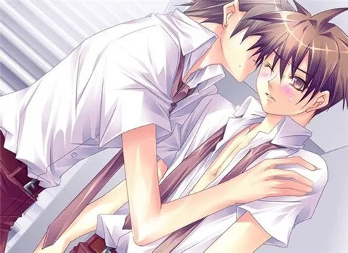 就要耽美网手机版本,实地评估解析数据_Notebook_v9.196