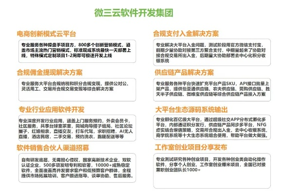 大麦云一元会员激活码与VSS软件核心功能清单