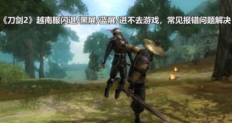 软件破解激活码与刀剑2单机版工具,最新答案解析说明 Elite_v9.134