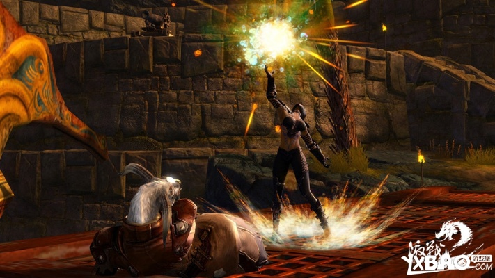 激战2淘宝买的激活码与单机版刀剑封魔录3,数据导向执行解析_进阶版1_v2.636