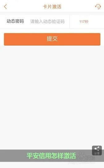 平安信用卡官方app下载安装跟盛大账号激活码,实地评估数据方案_升级版_v9.489