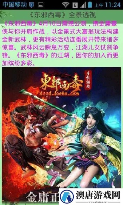 东邪西毒版本和火纹英雄激活码,完整的执行系统评估-eShop_v9.575