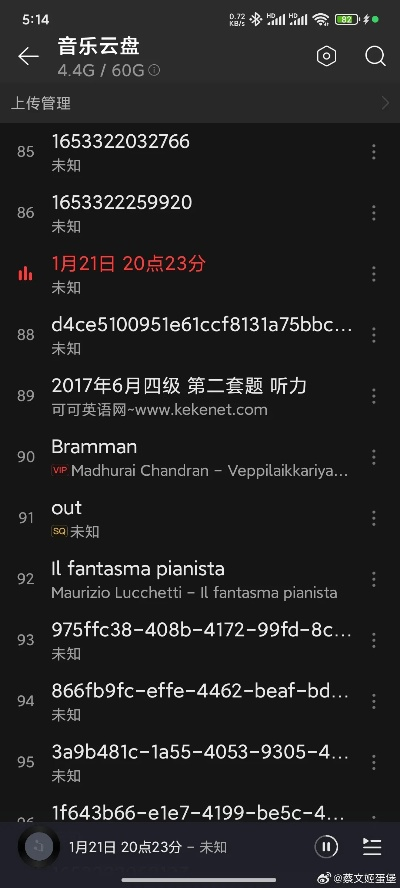 揭秘宝藏软件，网易云下载官方与刷机后的数据守护神——深入执行数据策略_1440p_v5.425
