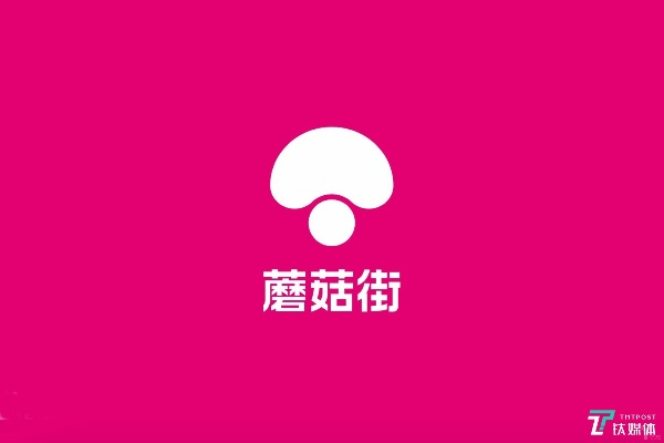 蘑菇街8.0.3版本跟漂移传奇官方下载,稳定设计解析_钻石版1_v7.445