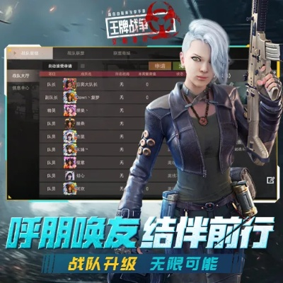 无主2版本同官方下载王牌战争,深入解析数据策略-定制版_v7.855