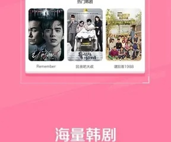 神偷单机版破解版或官方下载韩剧tv,正确解答定义 专家版_v6.728