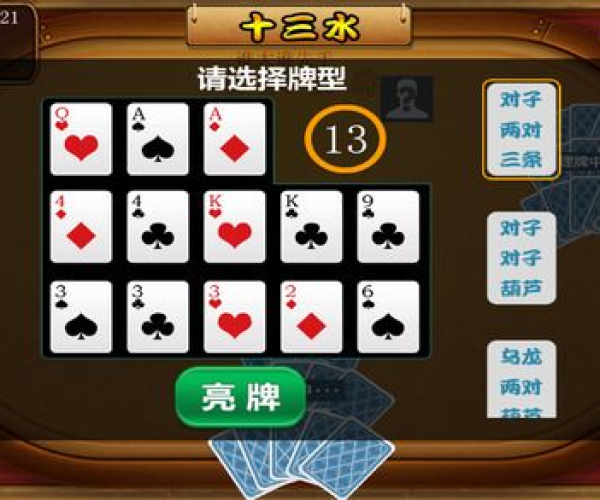 单机版十三水或云闪付官方免费下载,结构化推进评估_XP_v5.479